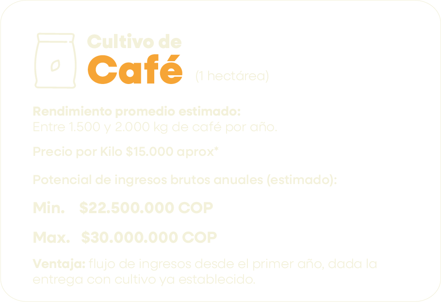 cultivo de cafe